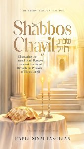 Picture of Shabbos Chayil [Hardcover]